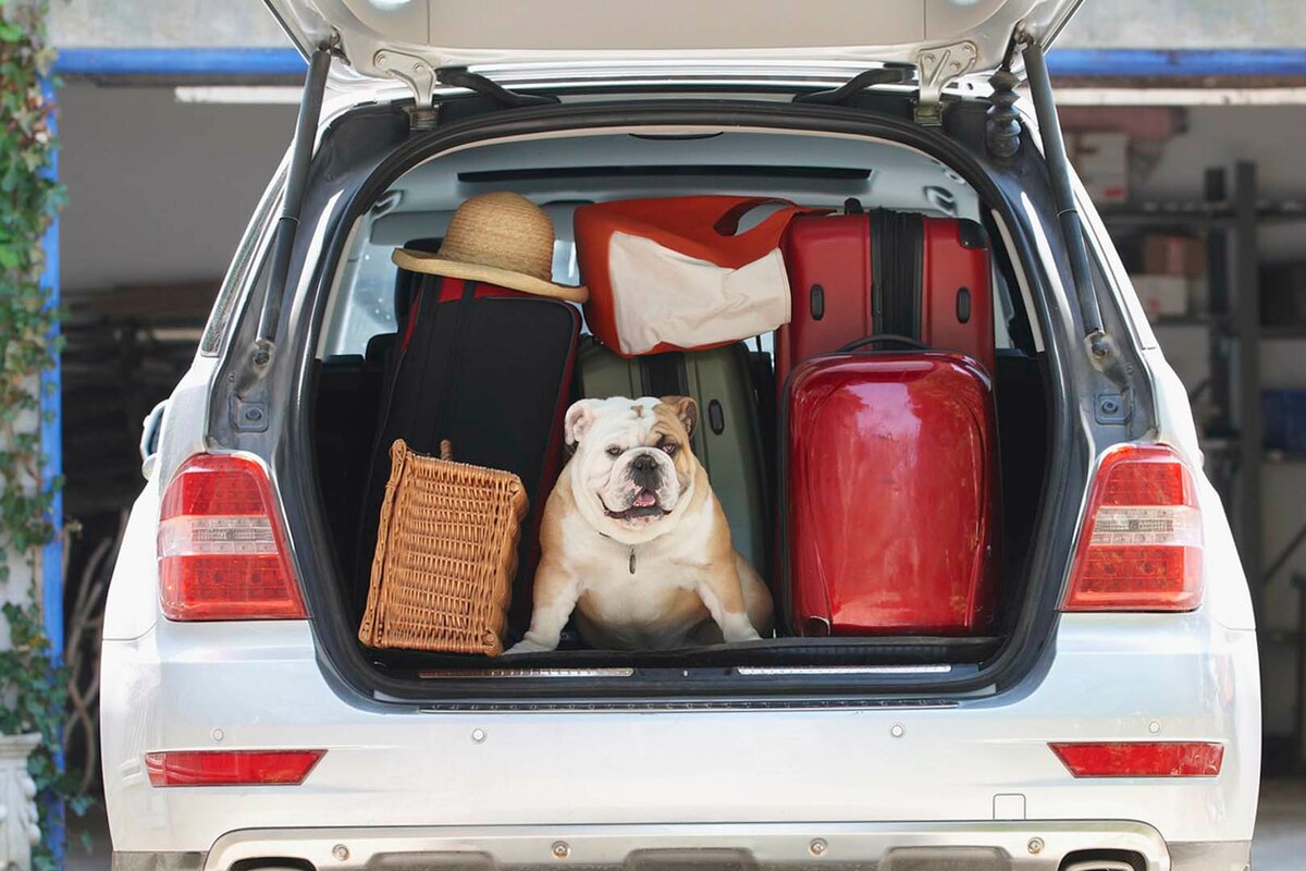 Overgewicht belast de motor.