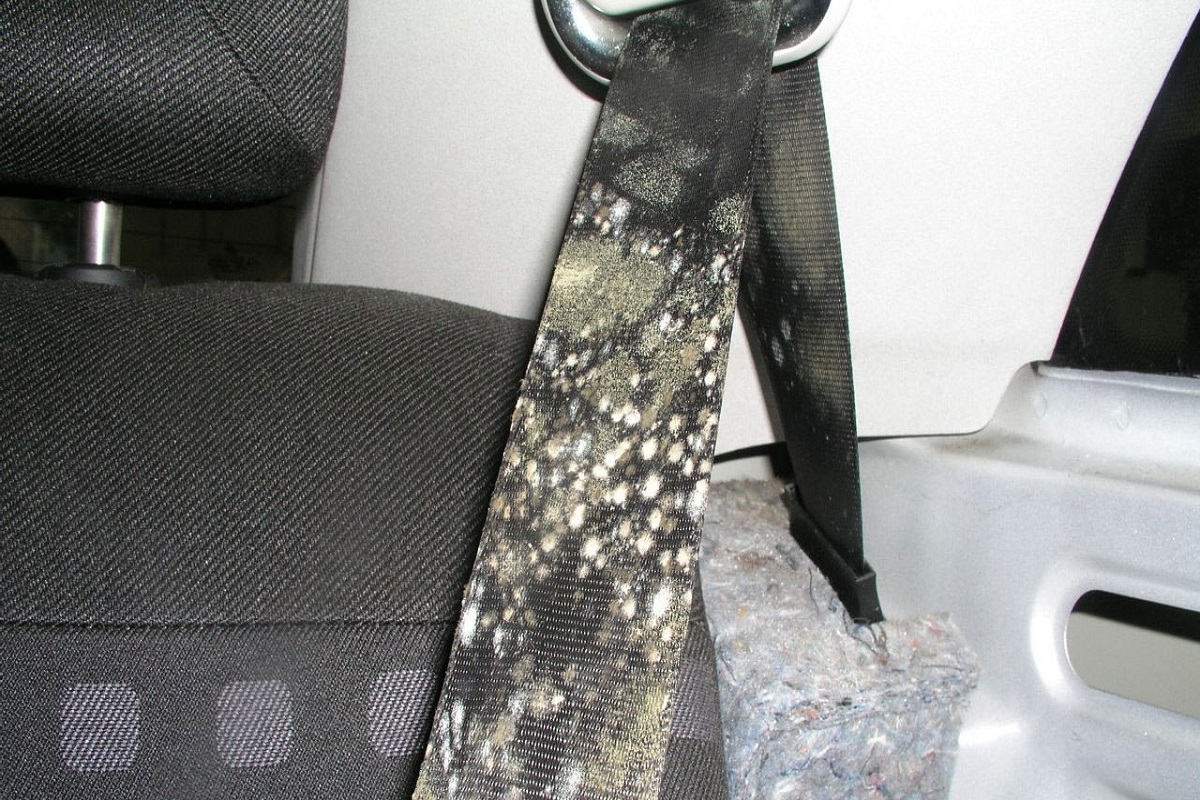 vuile veiligheidsgordels